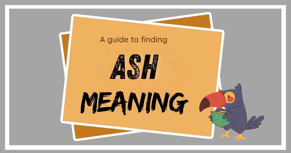 Ash Meaning in Text