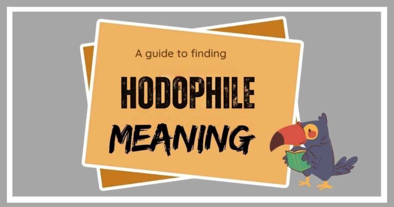 Hodophile Meaning