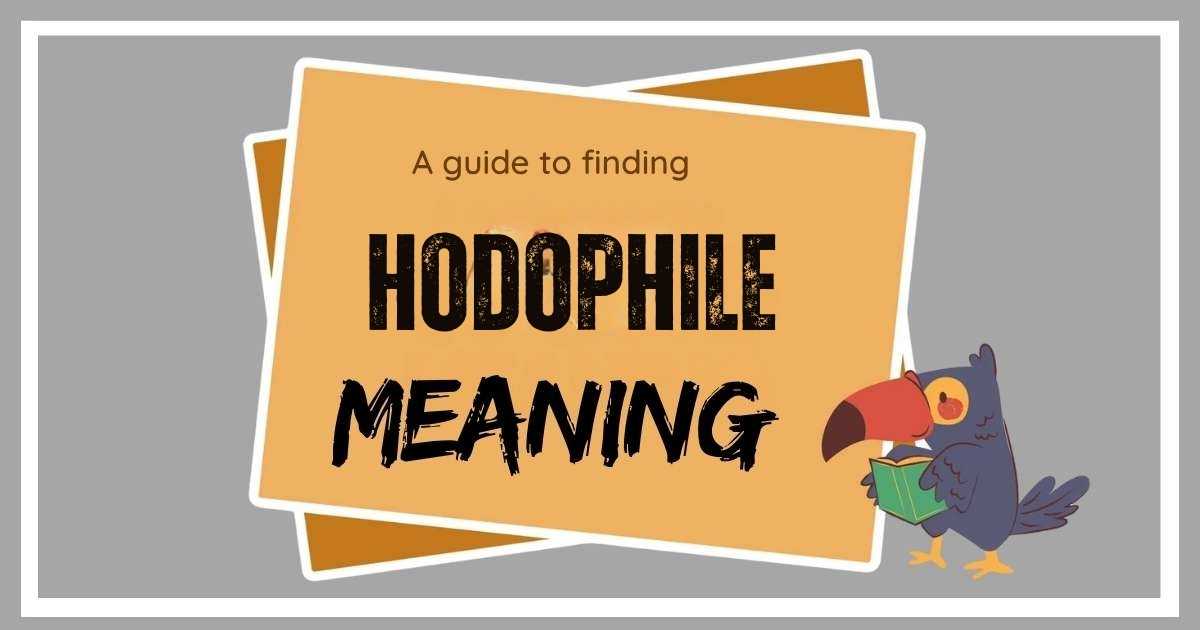 Hodophile Meaning