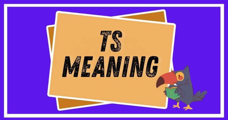 TS Meaning