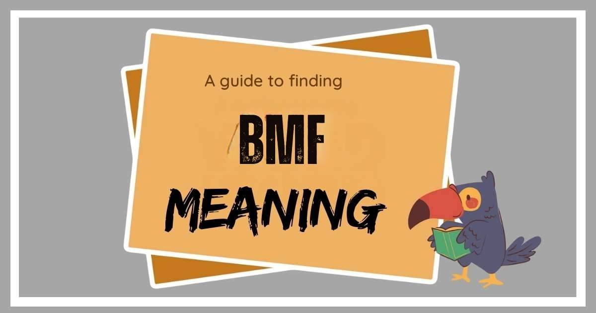 What Does BMF Stand For?