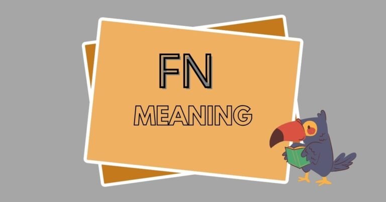 FN Meaning
