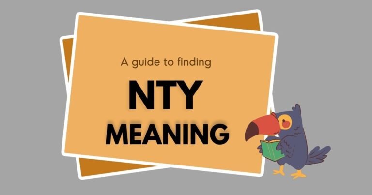 NTY Meaning in Text